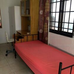 Race Course Rd/Owen Road Conservation Area (D8), Terrace #473798161